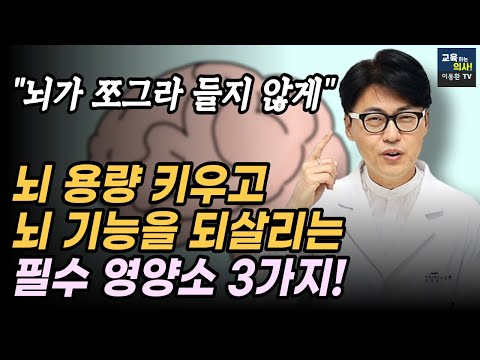 나이가 들어도 뇌가 쪼그라 들지 않게 뇌 용량 키우고 기억력 향상시키는 필수 영양소 3가지