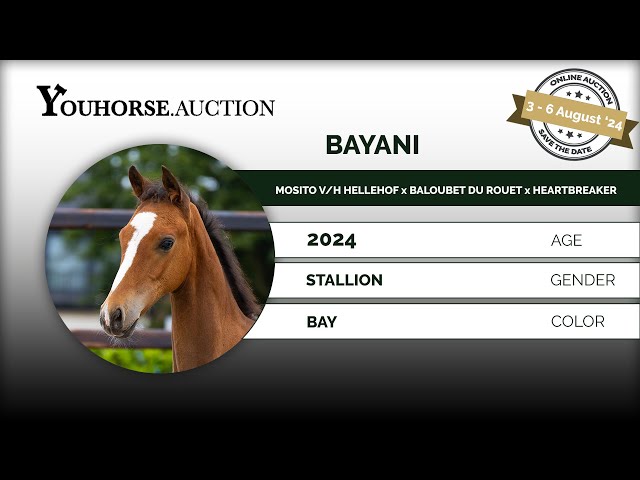 Bayani