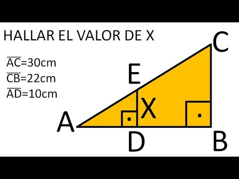 TEOREMA DE TALES. Ejercicio resuelto