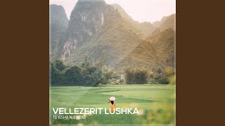 Vëllezërit Lushka - Të Kisha Një Nënë