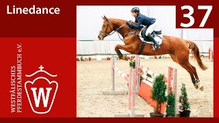 Video von Linedance