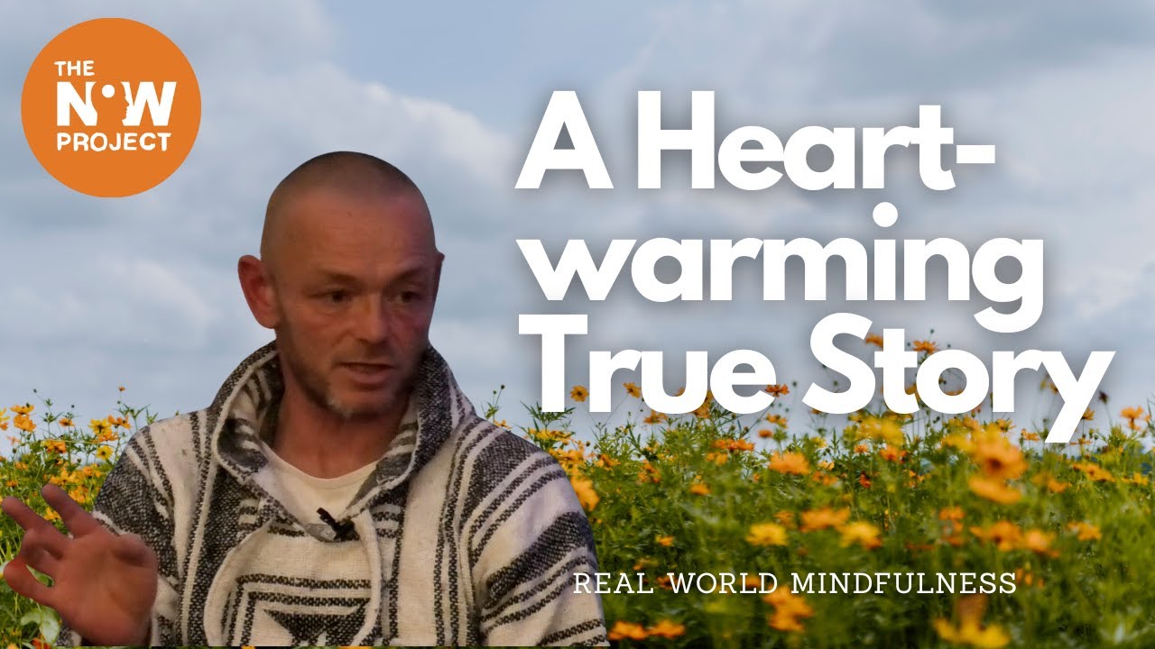 Real world mindfulness The Now Project
