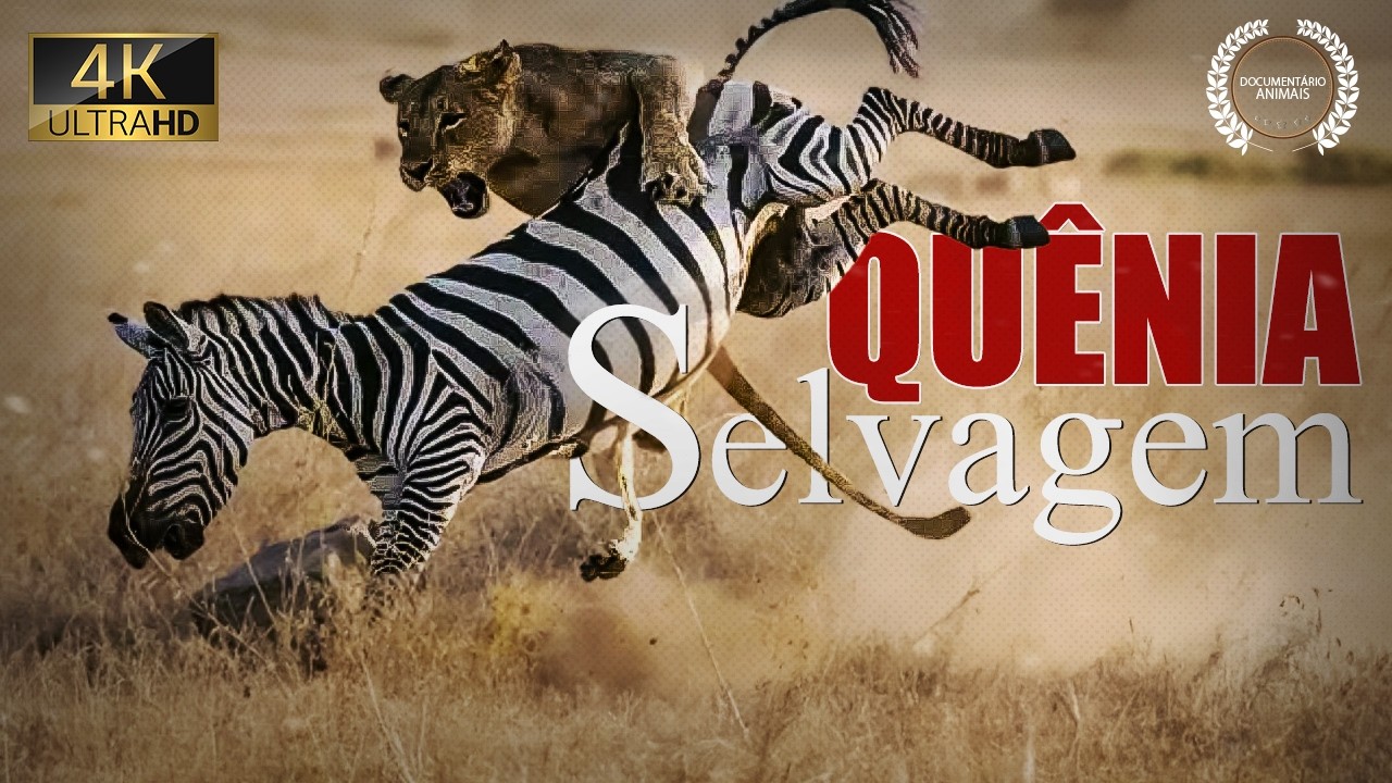 QUÊNIA SELVAGEM | Documentário sobre a Vida Selvagem e os Animais da Savana Africana