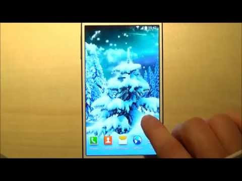 Winter Forest Live Wallpaper Video