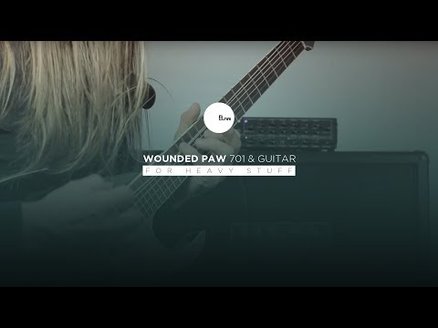 Wounded Paw Bass701 & a baritone guitar?