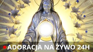 Download lagu EWTN Polska | Adoracja z Niepokalanowa mp3