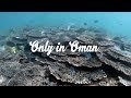 Oman Summer