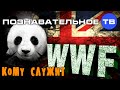 Кому служит WWF? (Познавательное ТВ, Артём Войтенков) 