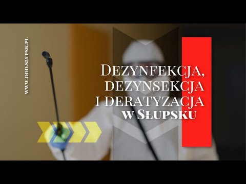 Zobacz filmy, Przemysław Groński Zakład Dezynsekcji, Dezynfekcji i Deratyzacji, Słupsk