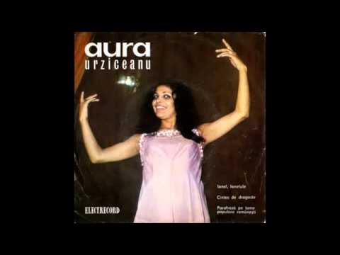 Aura Urziceanu Rully - Ionel, Ionelule