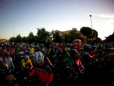 Nove Colli 2016 Griglia