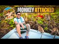 Monkey Attacked On Me At Langkawi Sea
