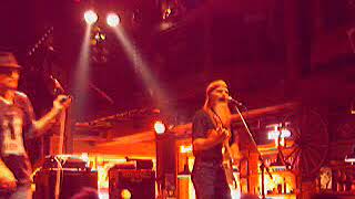 Point Blank - Bad Bees 2007