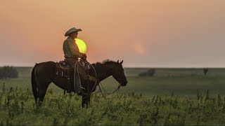 Saddle Tramp - Marty Robbins: with Lyrics(가사번역) || 말을 탄 방랑자