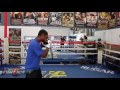 Shane Mosley vs. David Avanesyan Full Video- Mosley's Complete media workout w/Roberto Duran