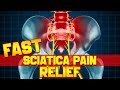 6 POWERFUL Hip & Leg Stretches for FAST Sciatica Pain Relief (FEEL BETTER NOW)