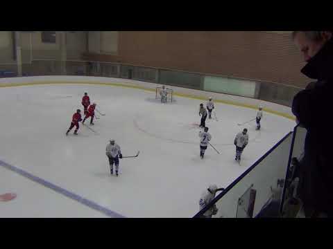 HC VIPERS – HC Dynamo Tallinn  6:0 (2:0 ; 3:0 ; 1:0)  29.12.2017