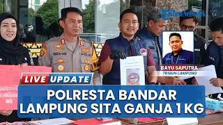 Temuan 1 Kg Ganja Berhasil Diungkap, Polresta Bandar Lampung Amankan 58 Orang Terseret Kasus Narkoba