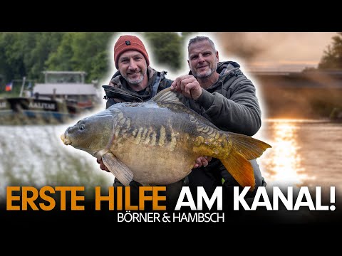 KARPFENANGELN AM KANAL mit dicker Überraschung! 💥 Andre Börner guided Steffen Hambsch