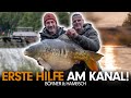 KARPFENANGELN AM KANAL Mit Dicker Überraschung Andre Börner Guided Steffen Hambsch