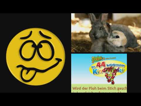 Flohlied - kinderwohngruppe@freudenkinder.de