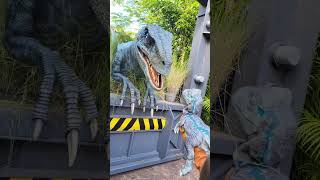 Raptor Blue Meeting Her Baby | Jurassic World at Universal Orlando