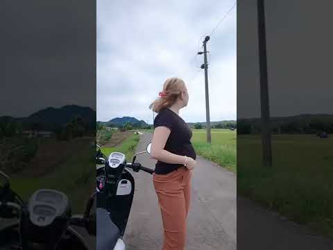 story WA terbaru hayang nyandung #youtobeshort #tiktok #dualalaki