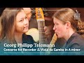 Georg Philipp Telemann: Concerto for Recorder and Viola da Gamba in A minor, TWV 52:a1