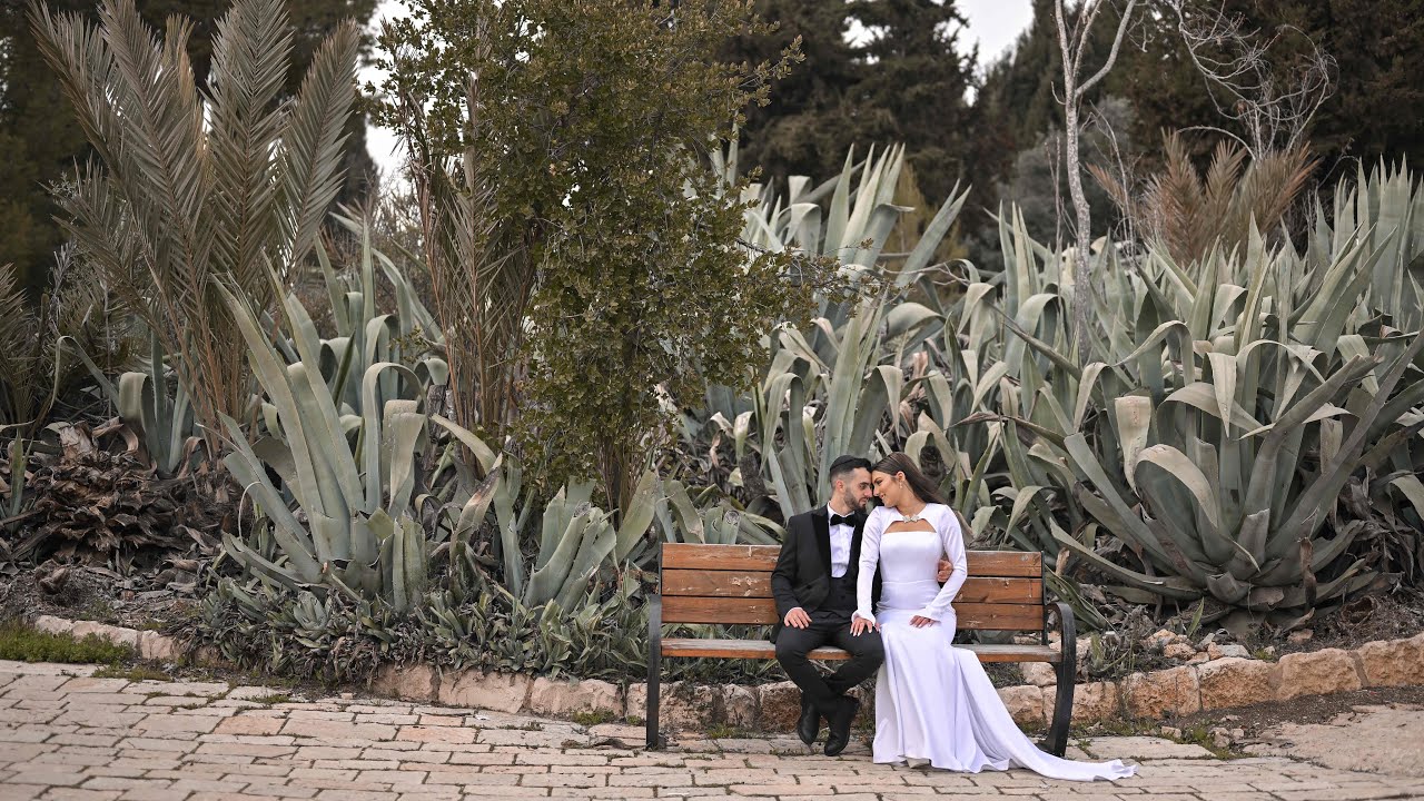 Wedding's highlights | Esther&Michael  | ArtPixxel | קליפ חתונה | הילייטס