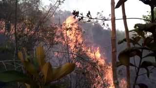 preview picture of video 'O importante trabalho dos brigadistas no combate a incêndios'