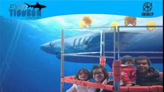 DIA 2 Expo Tiburon289