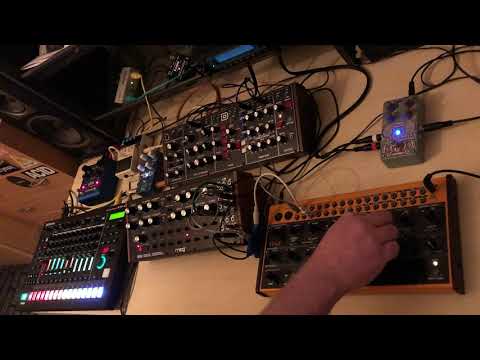 Sunday live Techno Jam 13122020 roland tr-8s moog dfam behringer modeld crave