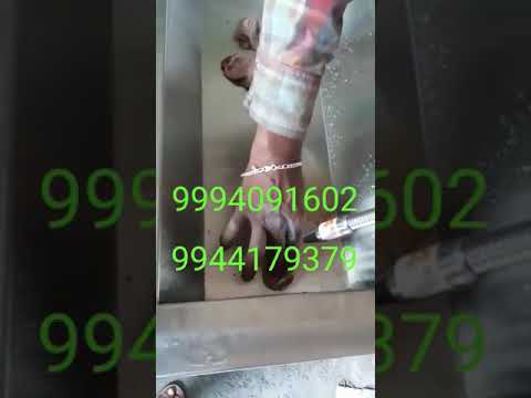 0-1 kw dual blade gizzard peeler machine, capacity: >80 kg/h...