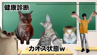 群馬にある期間工の赴任日と健康診断03話【猫ミーム】