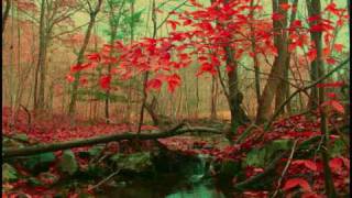 Laura Sullivan Coral Castle