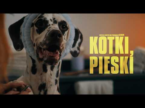 Czasin "KOTKI, PIESKI"