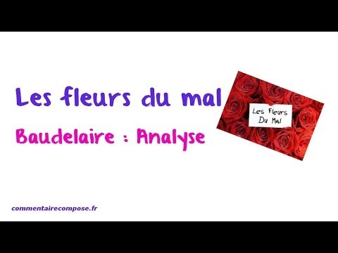 Les fleurs du mal, Baudelaire : analyse