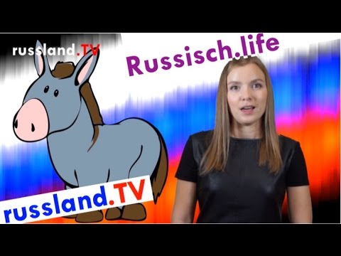 Russisch: Dumme Menschen bezeichnen! [Video]