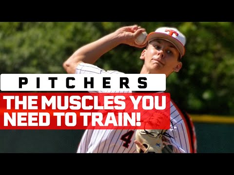 What Is The Baseball Pitcher's Most Important Muscle To Train?