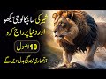 LION MENTALITY 10 Rules Of Power By The Lion How To Become Powerful Unstoppable