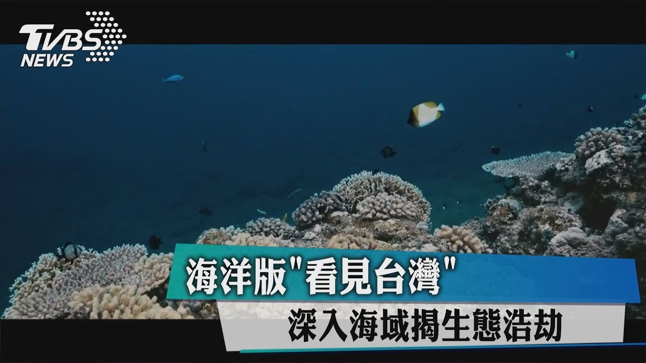 海洋版「看見台灣」 深入海域揭生態浩劫