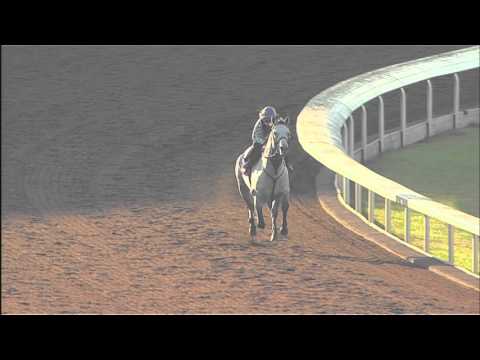 Holy Lute worked at Keeneland Oct. 22