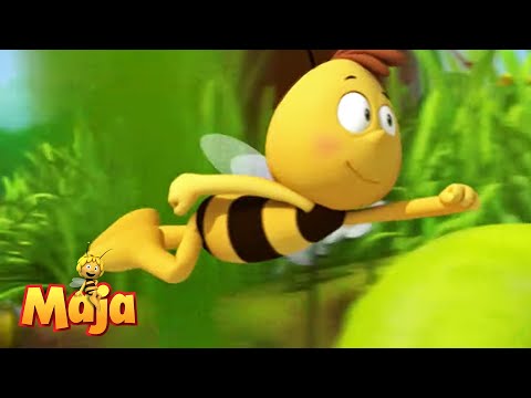 Die Biene Willi wird superschnell! - Die Biene Maja🐝🍯🐝