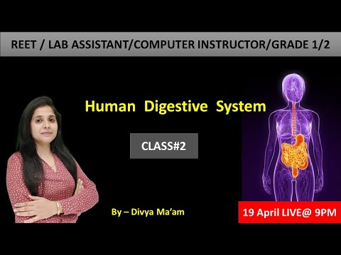 Digestive System/ पाचन तंत्र | Class#2 for VDO/ Reet/ Lab Assistant / Computer Instructor/ Grade 1/2