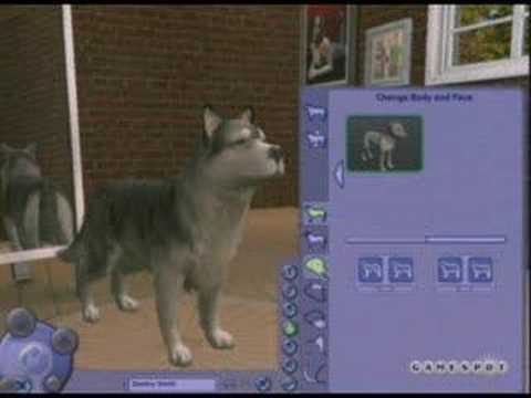 Les Sims 2 : Animaux & Cie Playstation 2