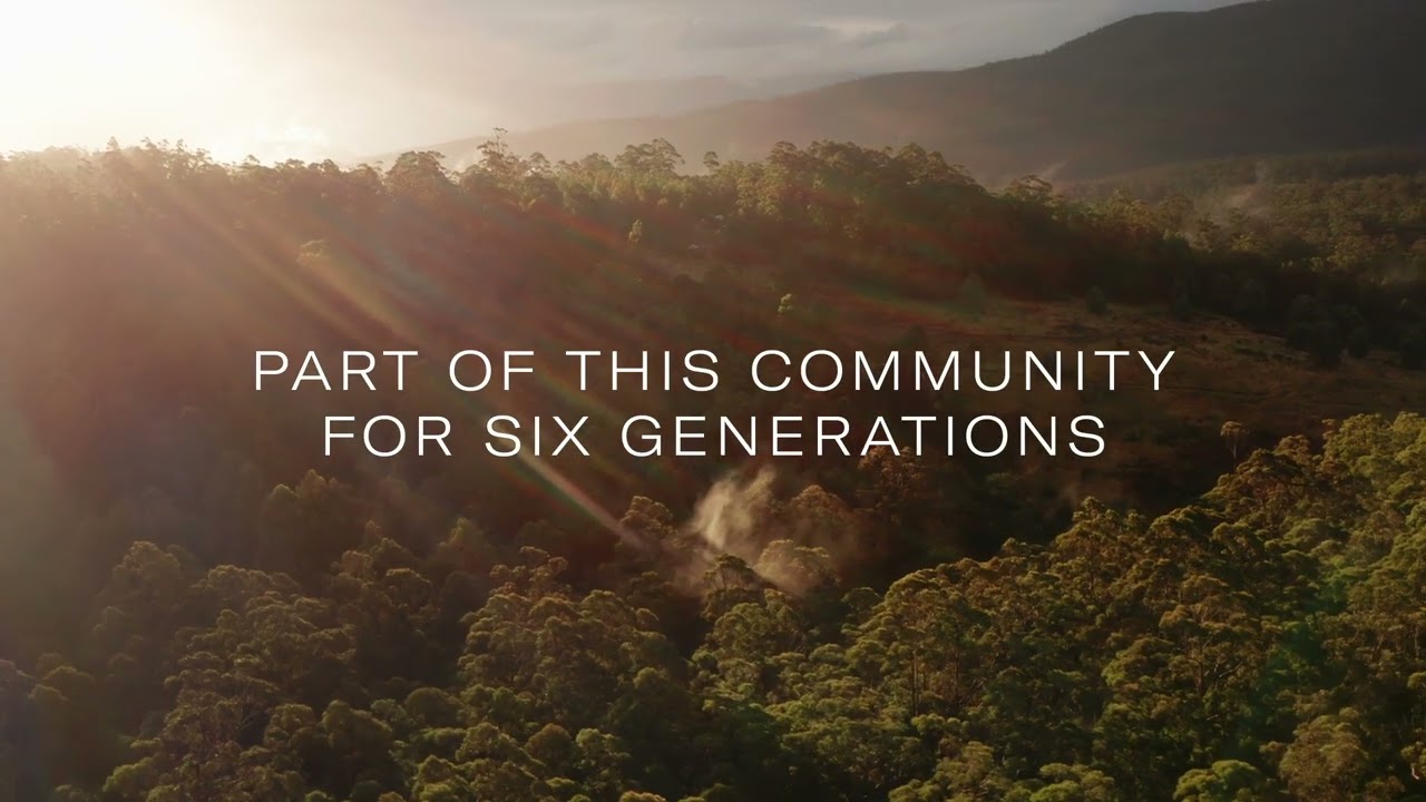 Harrison Agents "We are Tasmanian" Brand Campaign 2023 | Full Length Video