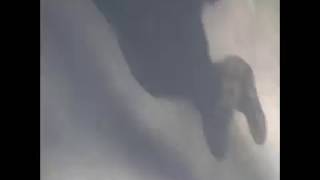 Tobacco - "Hick School" - Ripe & Majestic (Previously Unreleased Track)