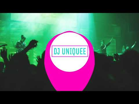 DJ UNIQUEE OFFICIAL PUT UR *** HANDS UP (Lil Jhon special)