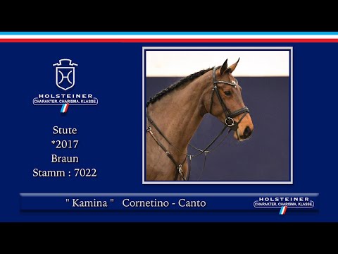 36. Holsteiner Frühjahrsauktion 2022 | Nr. 20 Kamina