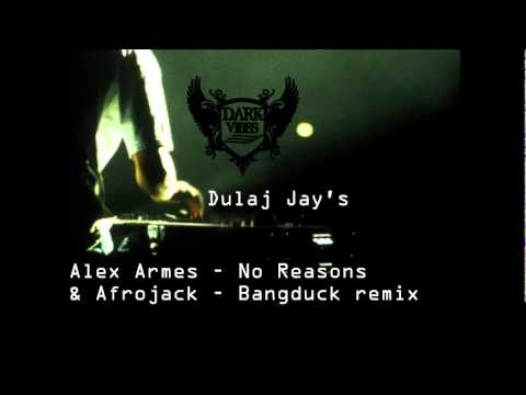 Dulaj jay's (Alex Armes - No Reasons & Afrojack - Bangduck remix)